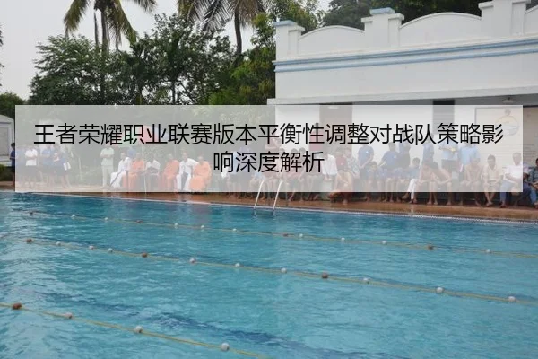 王者荣耀职业联赛版本平衡性调整对战队策略影响深度解析