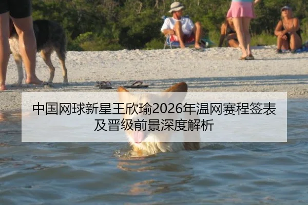 zhong-guo-wang-qiu-xin-xing-wang-xin-yu-nian-wen-wang-sai-cheng-qian-biao-ji-jin-ji-qian-jing-shen-du-jie-xi-2-413.jpg